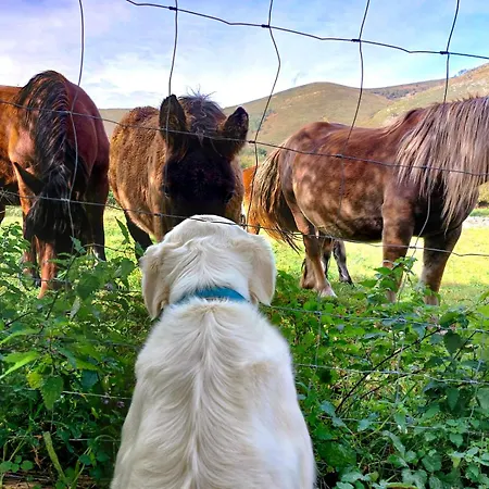 Reina De La Paz En San Sebastian De Garabandal Rionansa